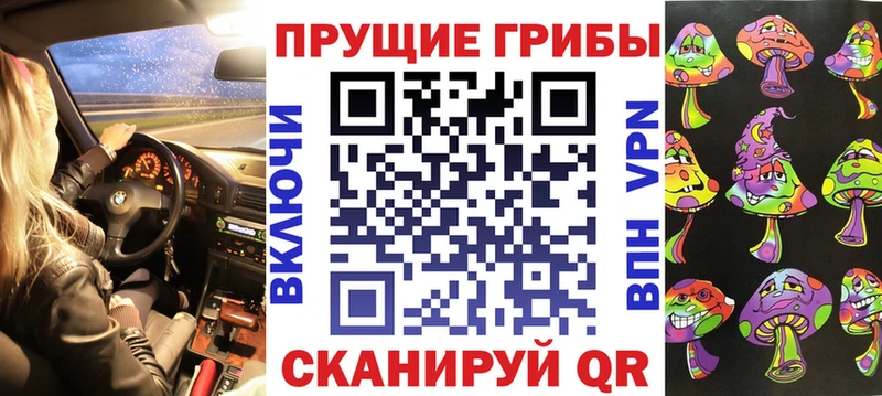 blacksprut ссылка  Кола  Галлюциногенные грибы Psilocybine cubensis  площадка клад  где найти  